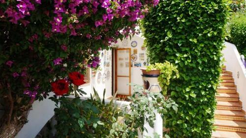Apartamento Patio Andaluz