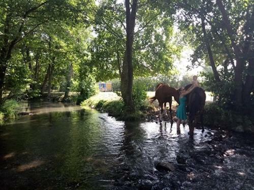 Bed & Breakfast Le Moulin Des Forges