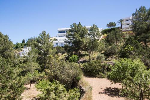 Hotel Casa Victoria Suites