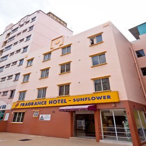 Hotel Fragrance - Sunflower