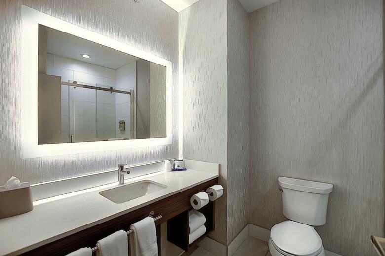 Hotel Holiday Inn Express Airport-calgary