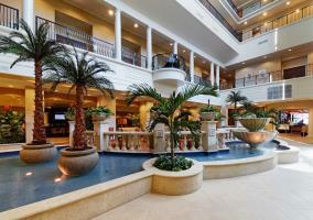 Hotel Embassy Suites Tampa - Downtown Convention Center