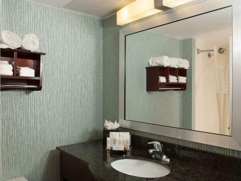 Hotel Hampton Inn Atlanta-north Druid Hills