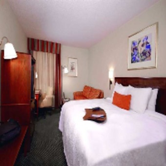 Hotel Hampton Inn Atlanta-north Druid Hills