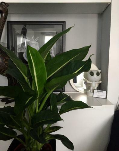 Hostal Quai 17 Maison D'h�tes