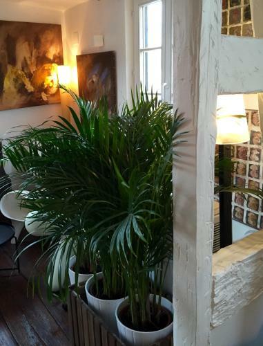 Hostal Quai 17 Maison D'h�tes