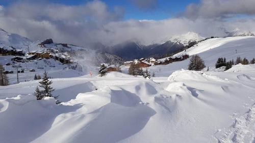 Apartamento Appartement La Plagne Soleil