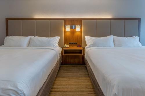 Hotel Holiday Inn Express Indianapolis - Southeast