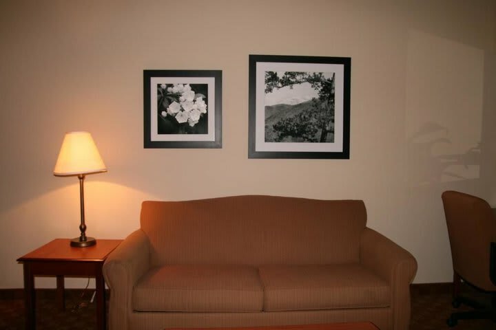 Hotel Hampton Inn & Suites Knoxville-downtown Tn