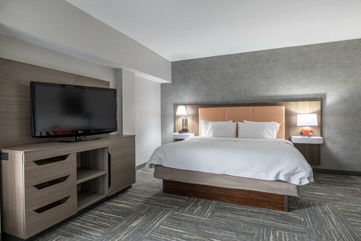 Hotel Hampton Inn & Suites Knoxville-downtown Tn