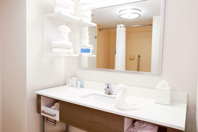 Hotel Hampton Inn & Suites Tampa-wesley Chapel