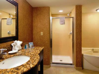 Hotel Hampton Inn & Suites Tampa-wesley Chapel