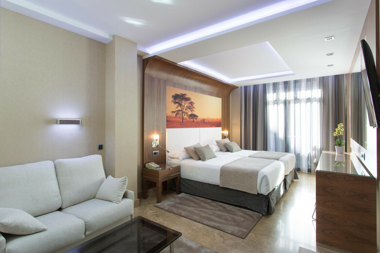 Hotel Vp Jard�n De Recoletos