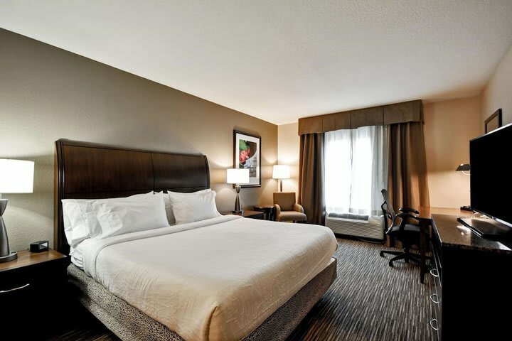 Hotel Hilton Garden Inn Tampa North