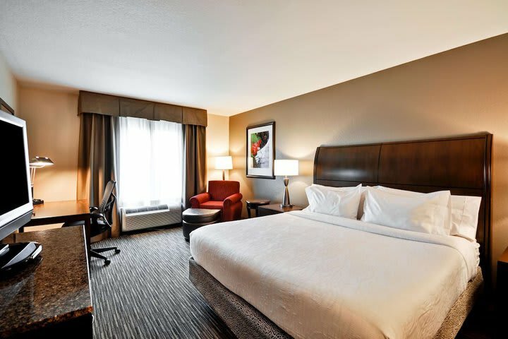 Hotel Hilton Garden Inn Tampa North