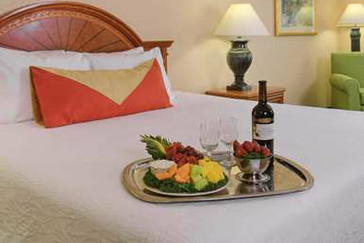Hotel Hilton Garden Inn Tampa North