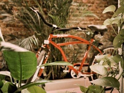 Hotel Duque Boutique & Spa