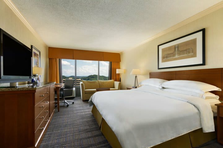 Hotel Hilton Knoxville