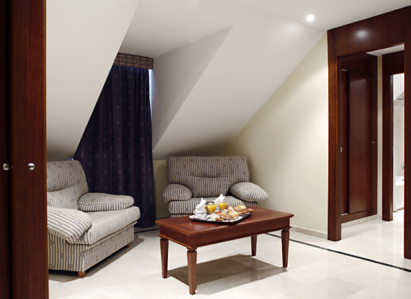 Hotel Rey Alfonso X