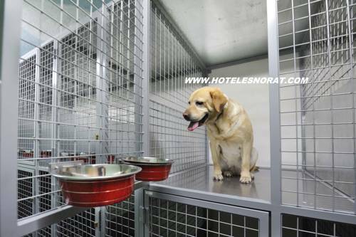 Hotel Norat Marina & Spa 4* Superior