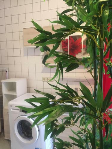 Apartamento Ferienwohnungen Calwer H�fle Marktplatz