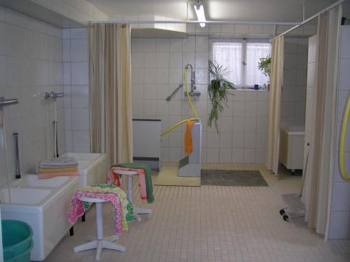 Kurhotel Freuschle