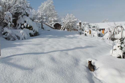Hostal G�stehaus Fidelis