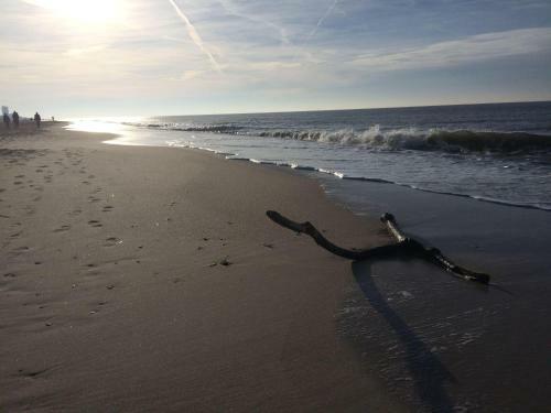 Apartamento Ferienwohnung-sylt-studio
