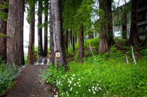 Hotel Lake Quinault Lodge