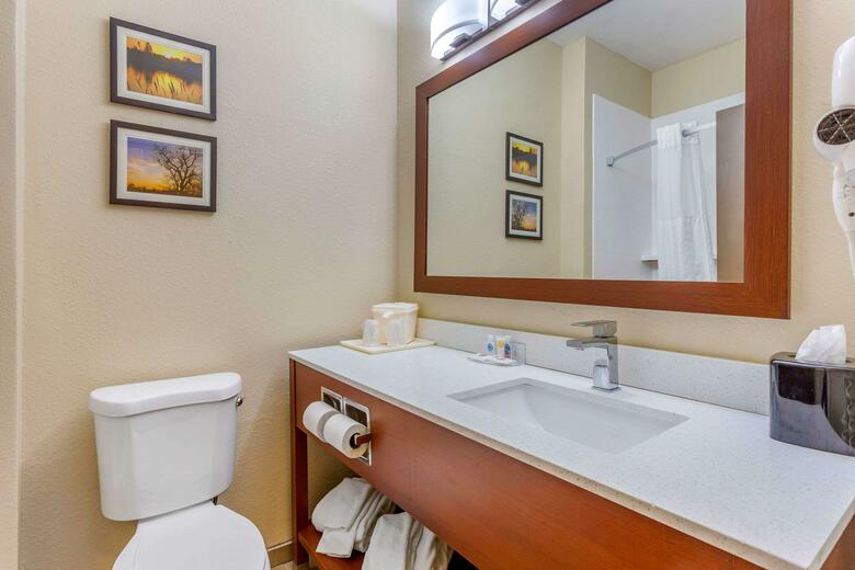 Hotel Comfort Inn - Rockford