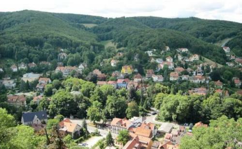 Hotel F�rstenhof Wernigerode