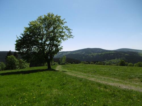 Apartamento Ferienwohnung Waldblick
