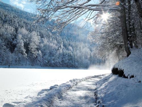 Riessersee Hotel Resort