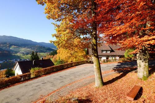 Apartamento Caf� Pension Waldfrieden
