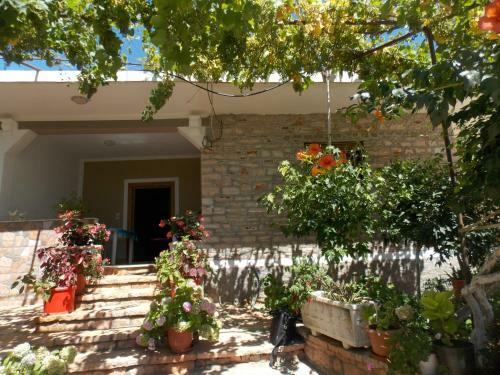 Tradition Apartments