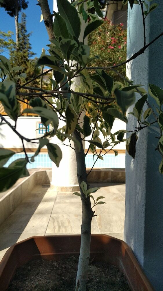 Hostal Baris Apart Hotel