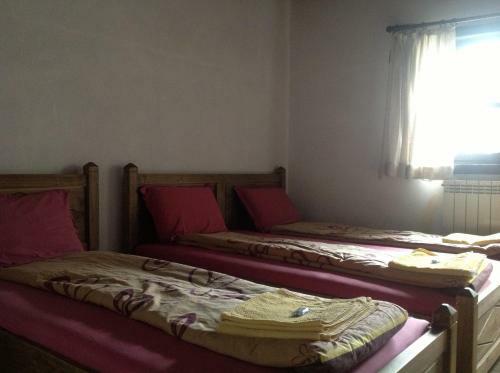 Hostal Bazoteva House