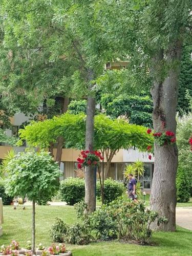 Aparthotel Yassen Holiday Village