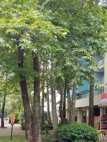 Aparthotel Yassen Holiday Village