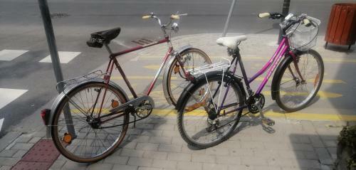 Vintage Apartment, 5 Min From Center + 2 Free Bikes