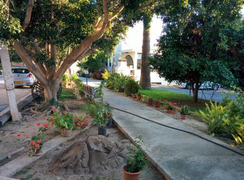 Apartamento Zoe's Court