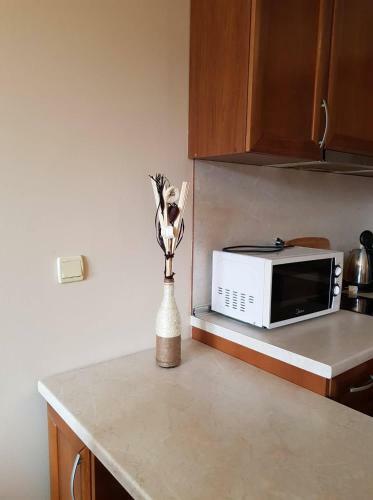 Edelweiss Inn Apartment 20