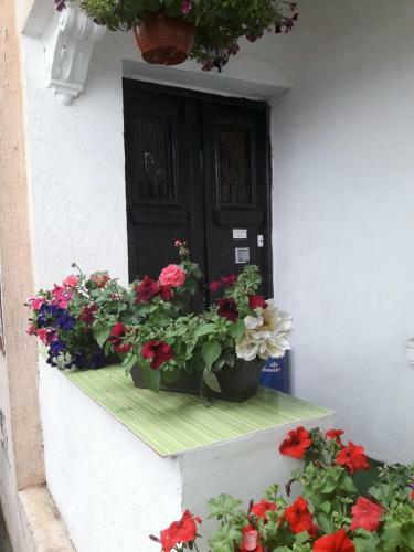 Albergue Guest House The House