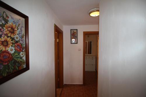 Hostal Guesthouse Kostovi