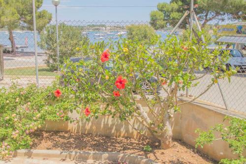 Villa En Portocolom