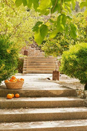 Hotel Mirab� De Valldemossa
