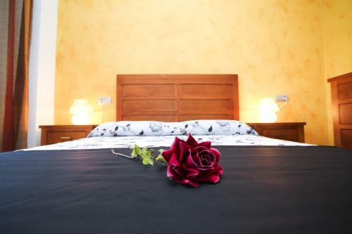 Apartamento J. Tramontana