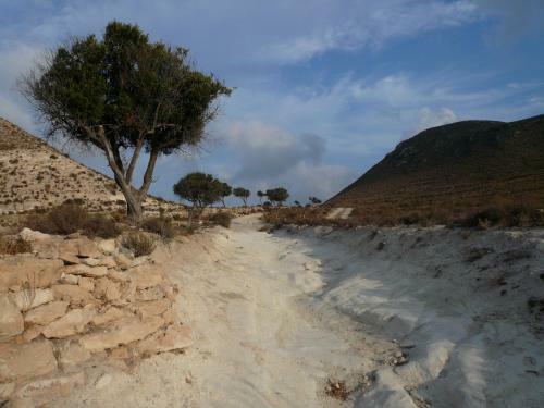 Apartamento La Posidonia