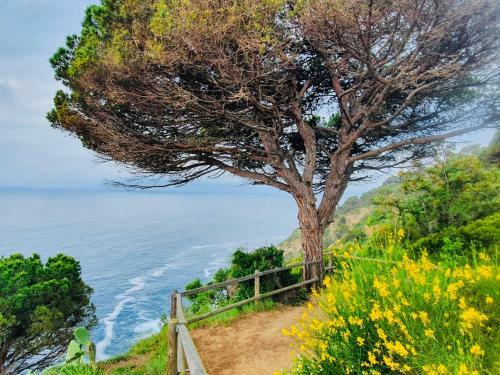 Apartamento Tossa De Mar