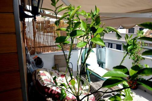 Apartment Livem�laga Victoria